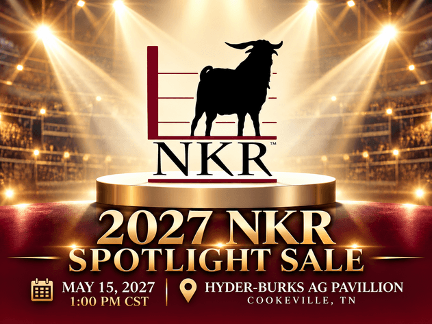 Image for 2027 | NKR Spotlight Sale