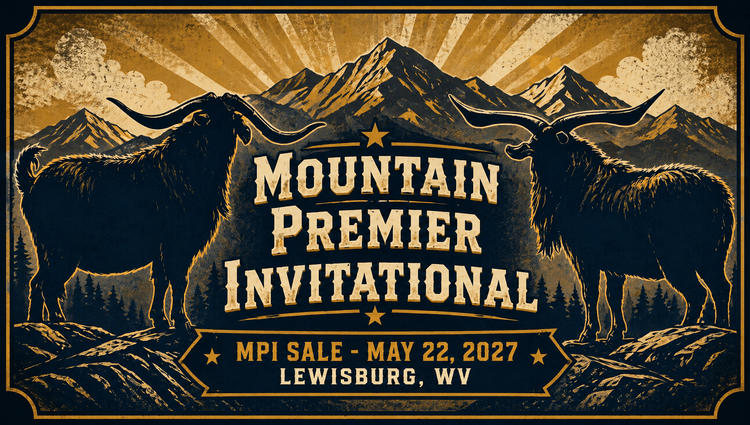 Image for 2027 Mountain Premier Invitational
