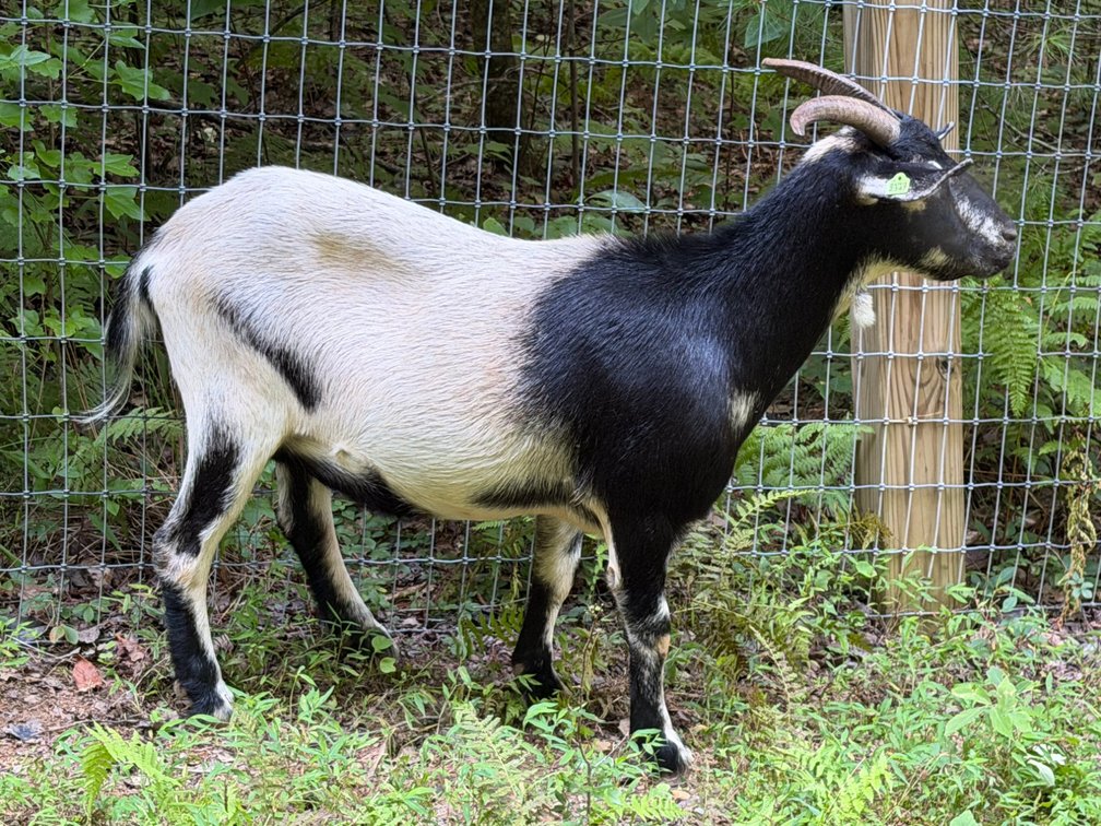 DOE-NZ