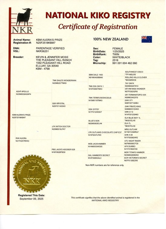 DOE-NZ