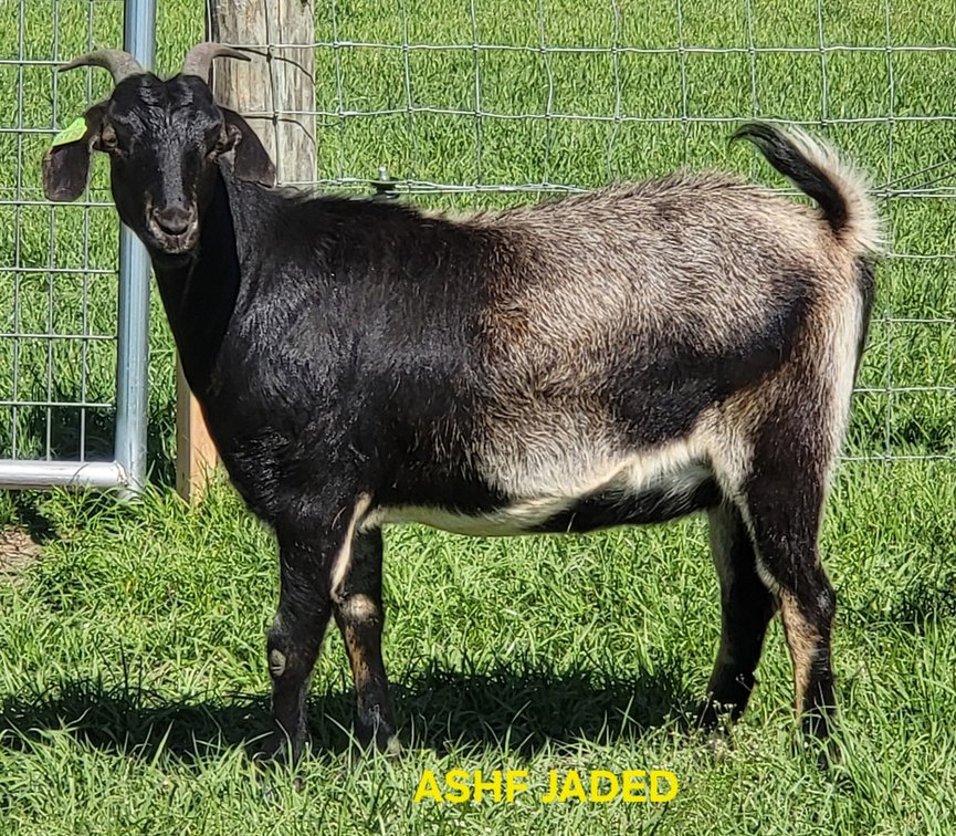 DOE-NZ