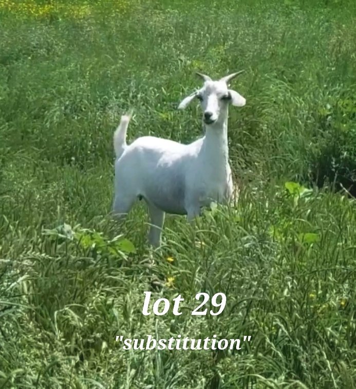 DOE-NZ