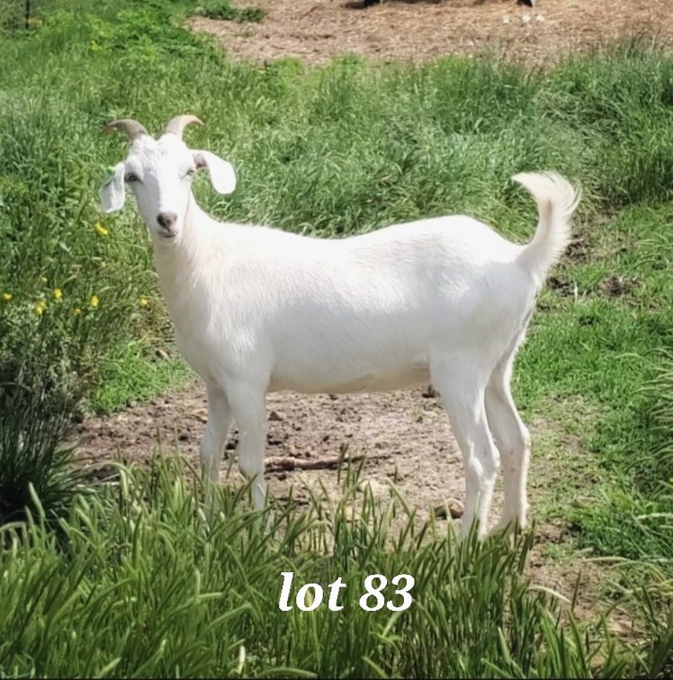 DOE-NZ