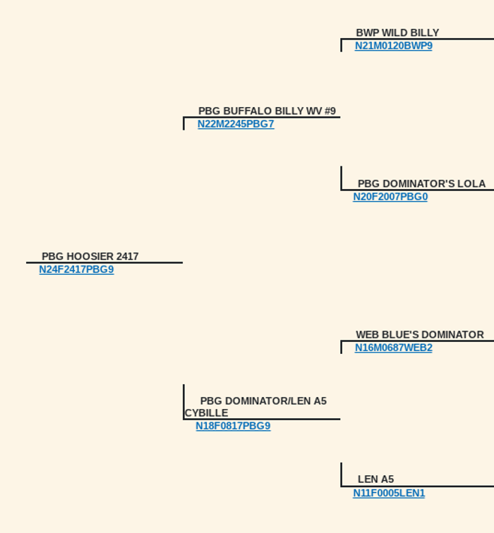 Image for 2025 | Bluegrass Performance Invitational
