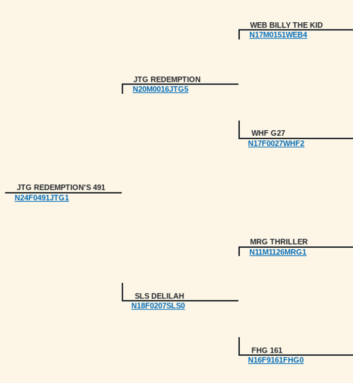 Image for 2025 | Bluegrass Performance Invitational