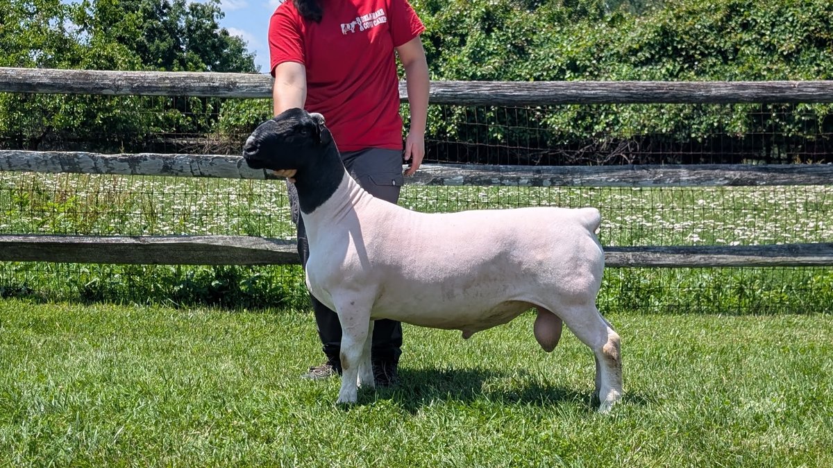 RAM 