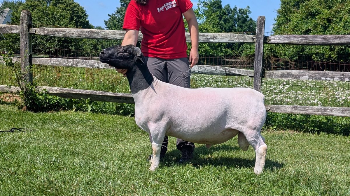 RAM 