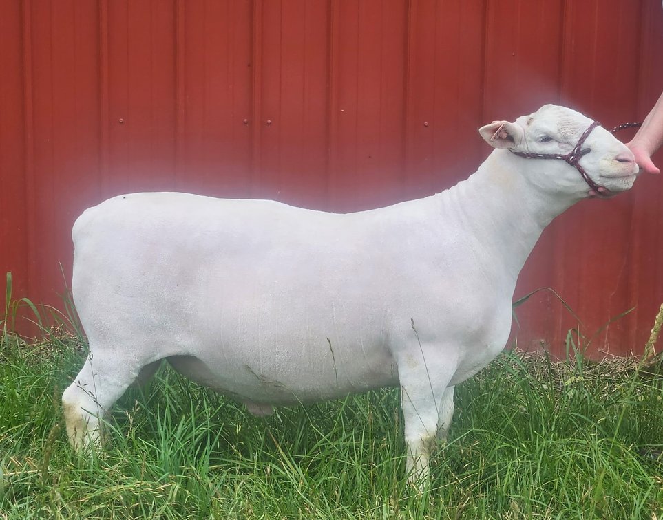 RAM