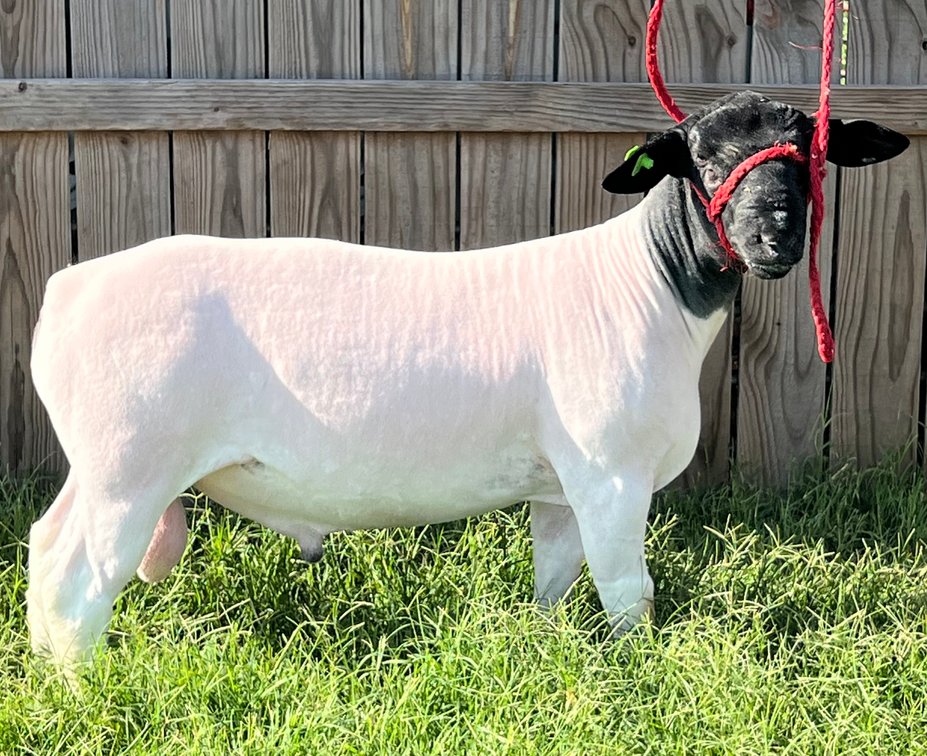 RAM