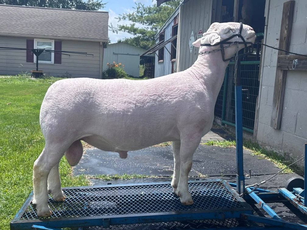 RAM