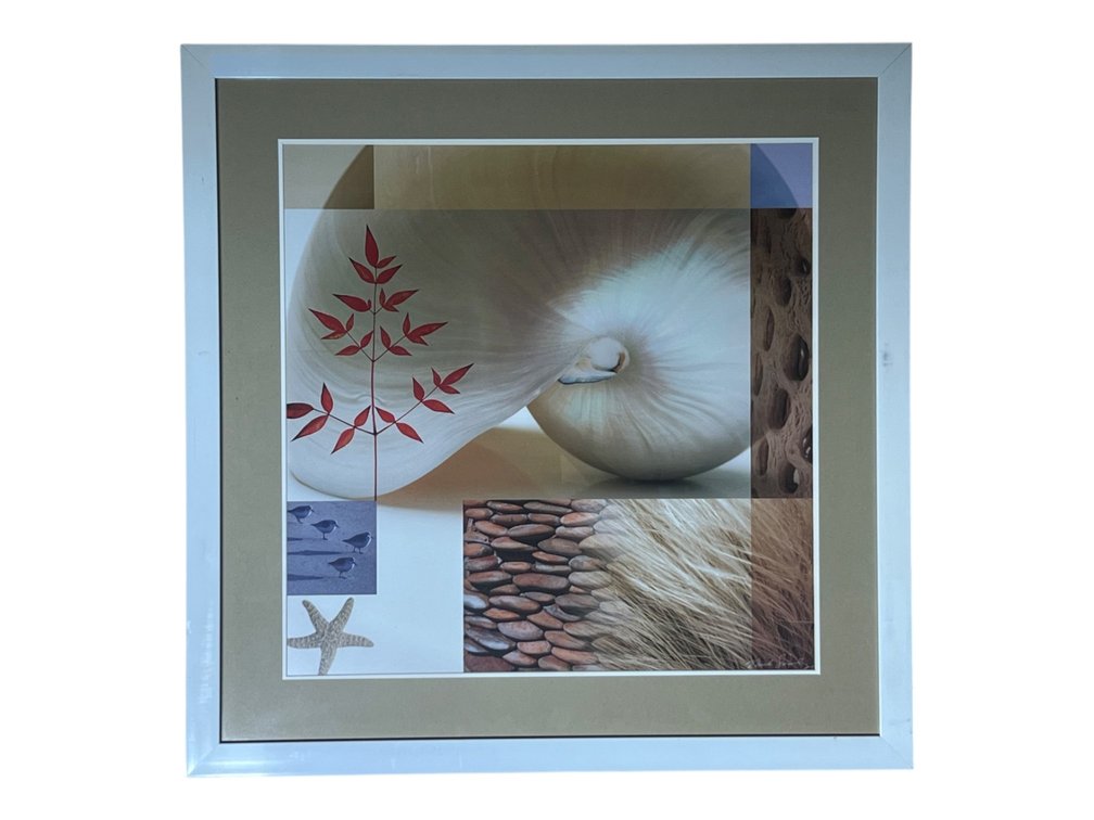 Print Collage Nautilus Shell and Botanical Coastal Composition, 32 x 32”