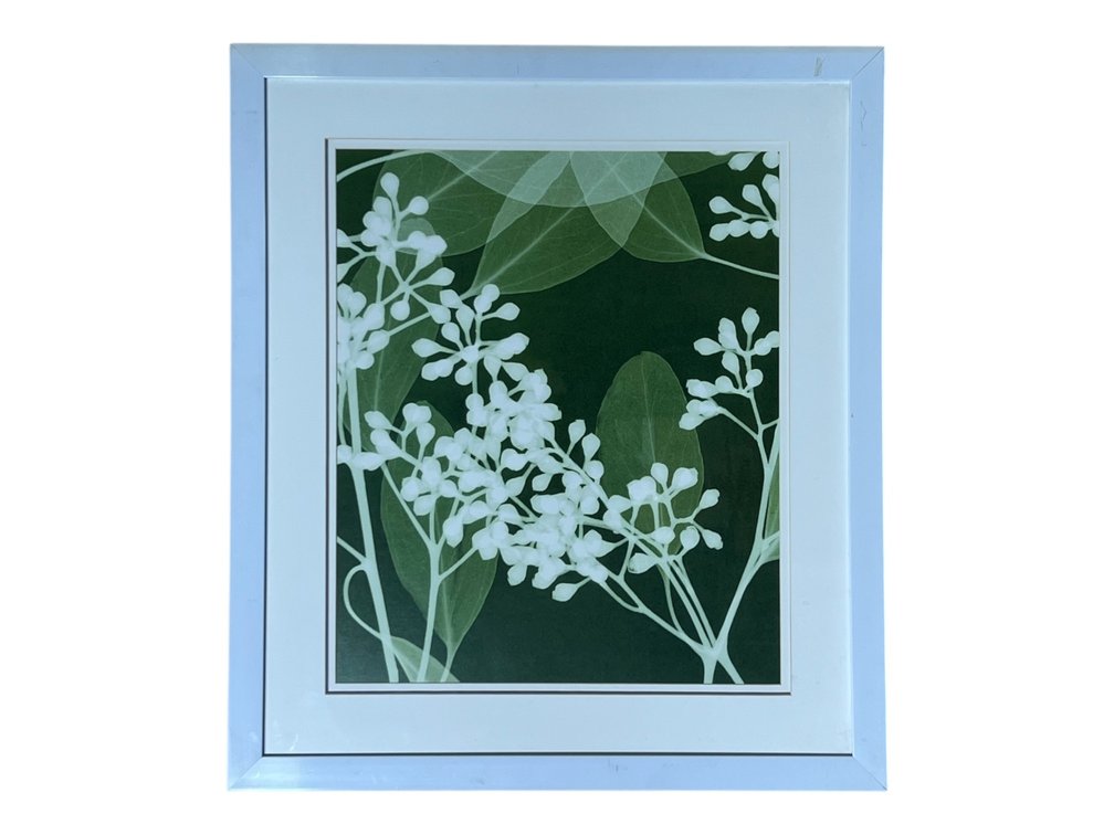 Print botanical floral wall art in white frame, 28 x 32”