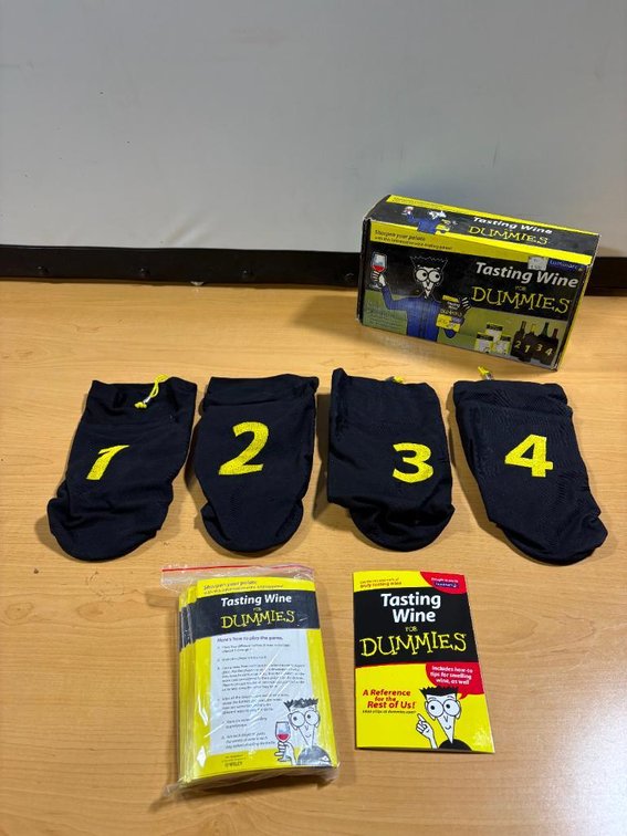 Wine Tasting for Dummies Kit w/ Box, Wine Bottle Bags, Book, Cards