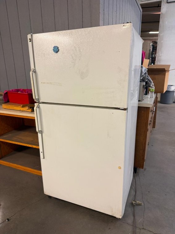 GE Refrigerator Freezer, Household, Model: TBX24ZPK, Older, Needs a Good Cleaning
