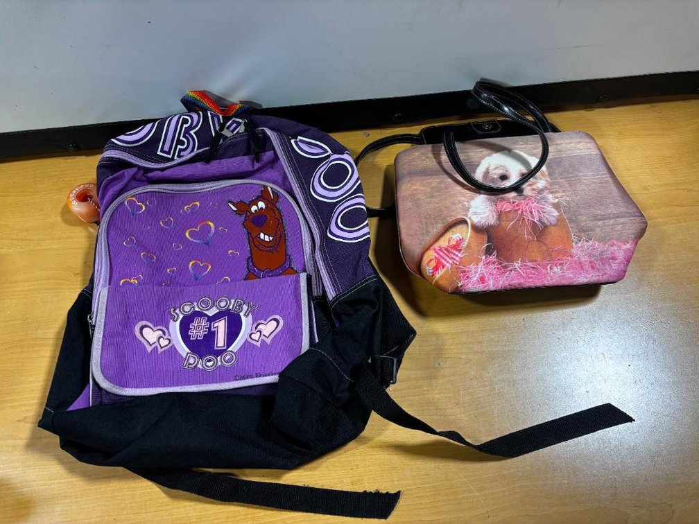 Scooby Doo #1 Backpack and Cut Dog Purse, New/Unused