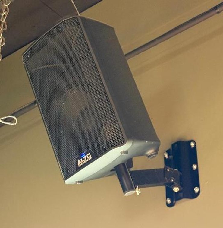 ALTO Professional TX310 Powered Loudspeaker, 350 Watt, 10in Drivers & 2-Way Speakers