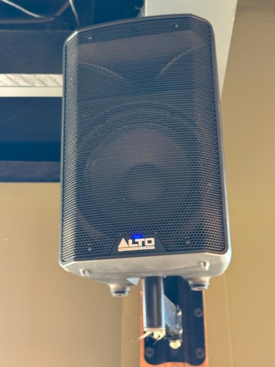 ALTO Professional TX310 Powered Loudspeaker, 350 Watt, 10in Drivers & 2-Way Speakers