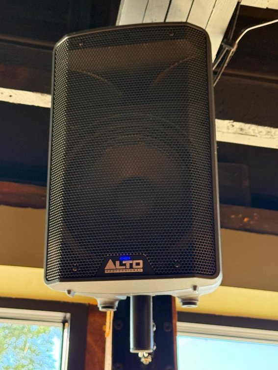 ALTO Professional TX310 Powered Loudspeaker, 350 Watt, 10in Drivers & 2-Way Speakers