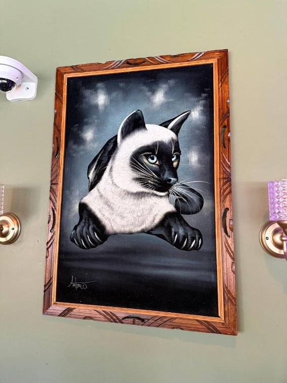 Vintage Siamese Cat Velvet Painting in Period Frame by Arturo 40in x 28in
