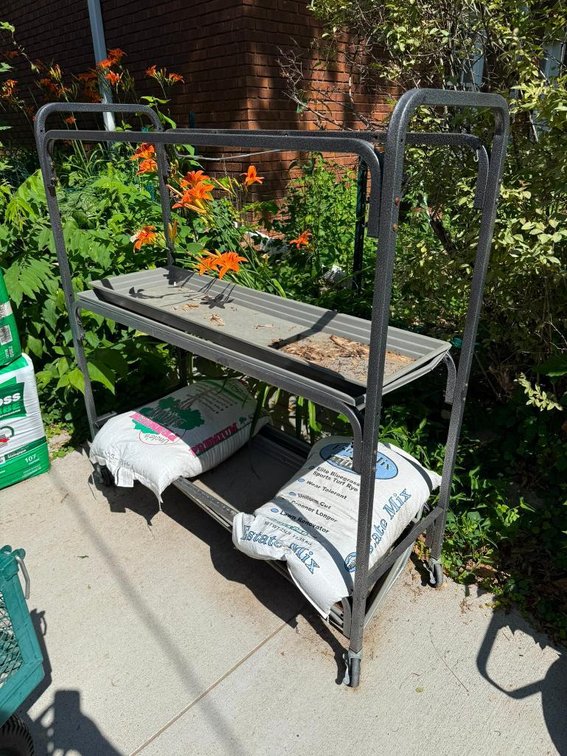 Metal Rolling Plant or Vegetable Stand w/ Plastic Trays