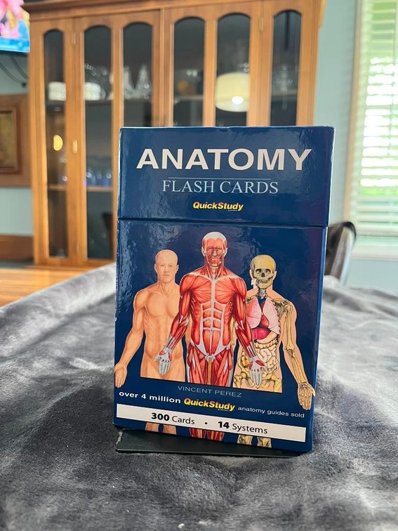 Anatomy Flash Cards