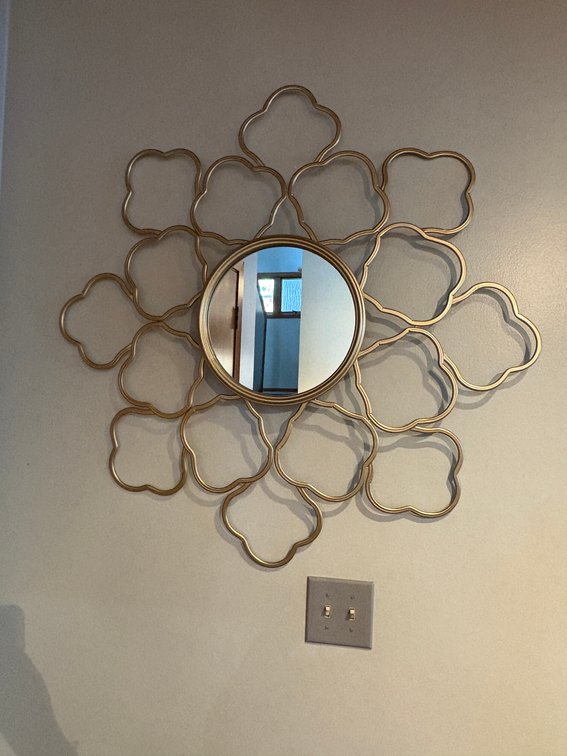 Modern Metal Circular Mirror Surrounded by Metal Design