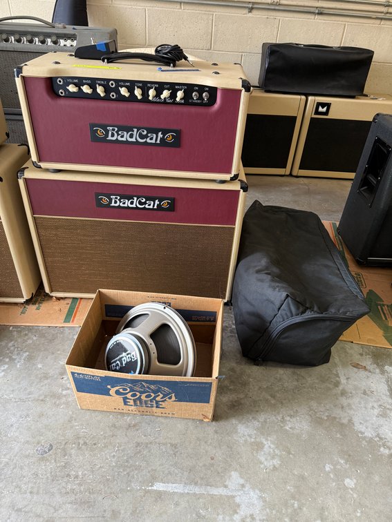 BadCat Black Cat 30R, BLKC-R HD, Amplifier c. 2002-3, Head 2319, Cabinet 2238, Factory Cream Color