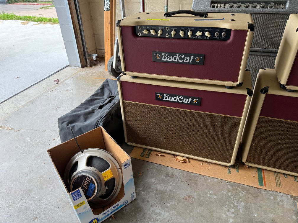 BadCat Black Cat 30R, BLKC-R HD Amplifer, Head 2220, Cabinet 2326, c. 2002-3, Factory Cream