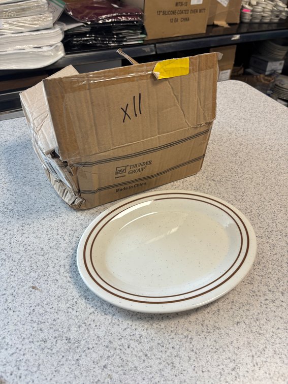 Case of 11, New 9-1/2in China Oval Platters, Thunder Group