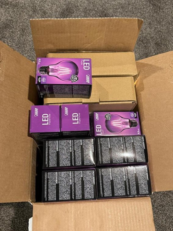 Box of New LED Light Bulbs