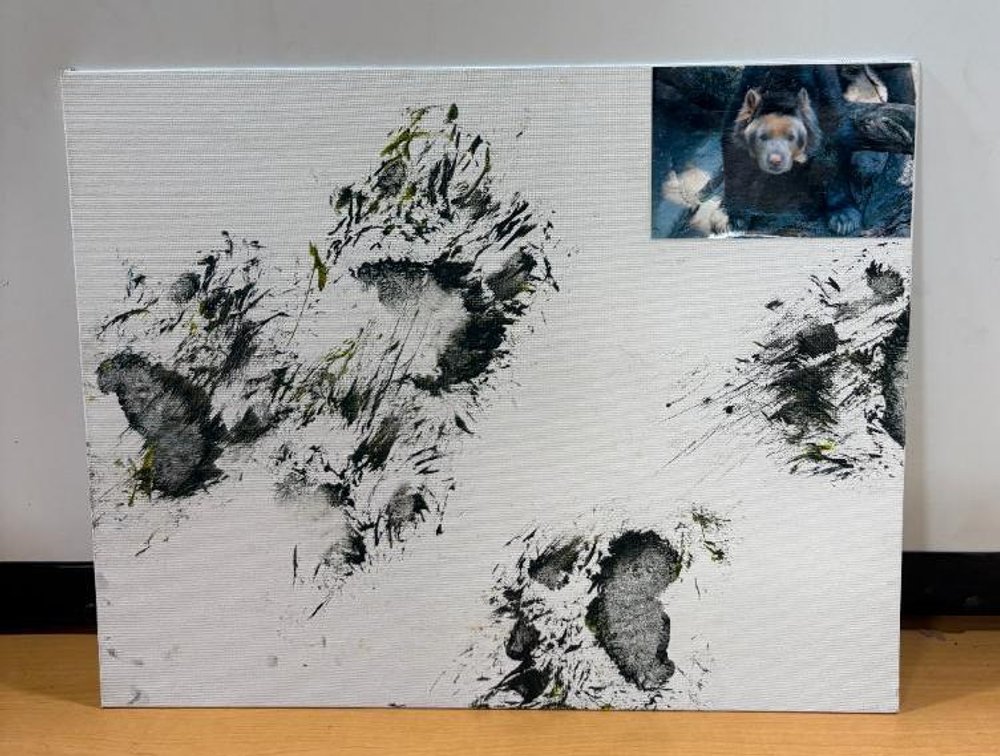 Omaha Henry Dorly Zoo & Aquarium Painted by Animals Painting by Andean Bear, c. 2017 w/ COA & Photo