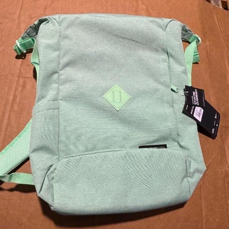 Dakine Infinity Pack LT Backpack Mint