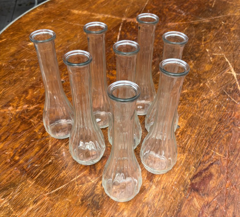 (8) Skinny Glass Vases