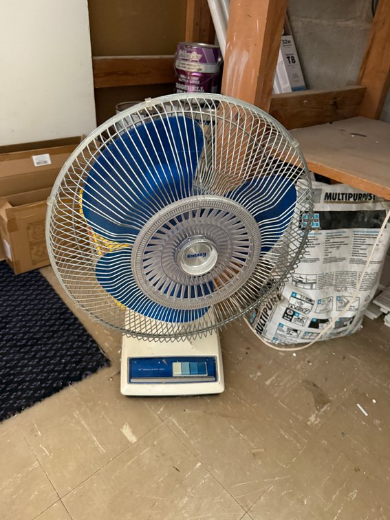Oscillating Fan
