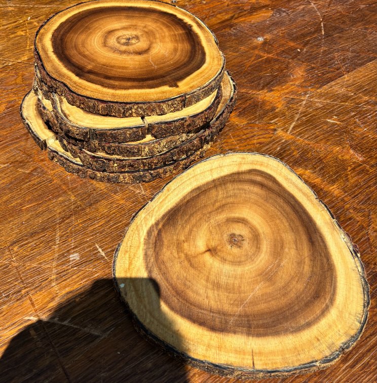 Wood Slice Live Edge Charcuterie Boards / Serving Boards
