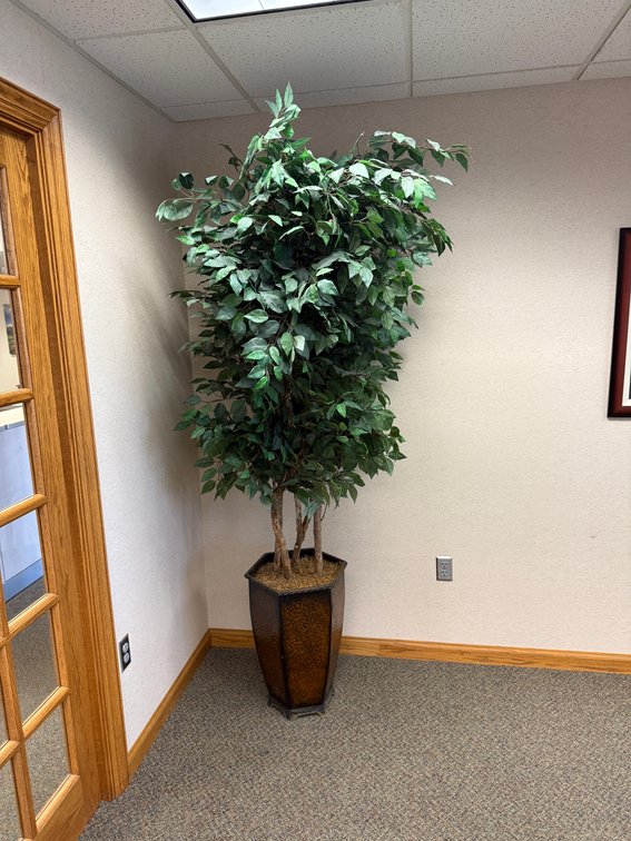 Image for High-Quality Office Furniture, Fixtures & Cubicles - NO RESERVES or MINIMUMS (Blair, NE)