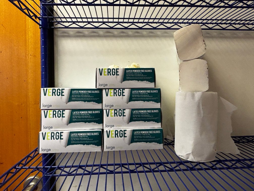 Lot of 7, Verge Size Large Latex Powder Free Gloves