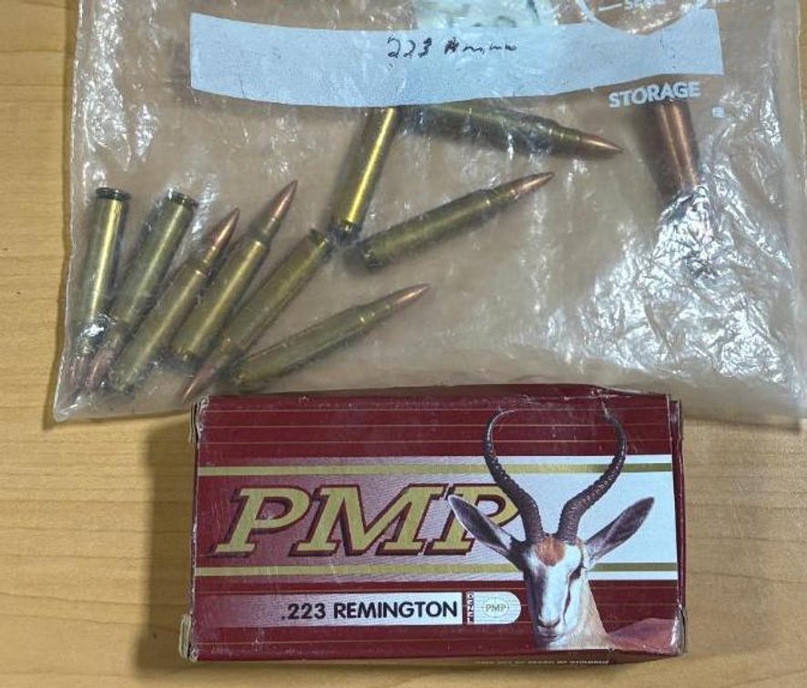Ammunition, PMP .223 Remington, Approx. 30 Rounds