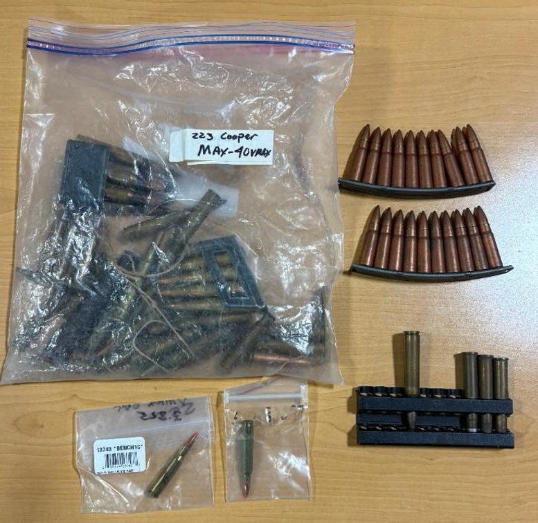 Military Ammunition, .223 Cooper, Others, w/ Some Clips, See Imaes