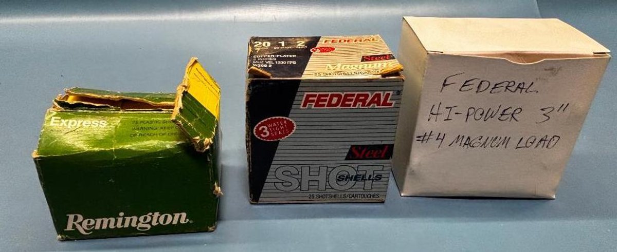 Assorted Shotgun Shells