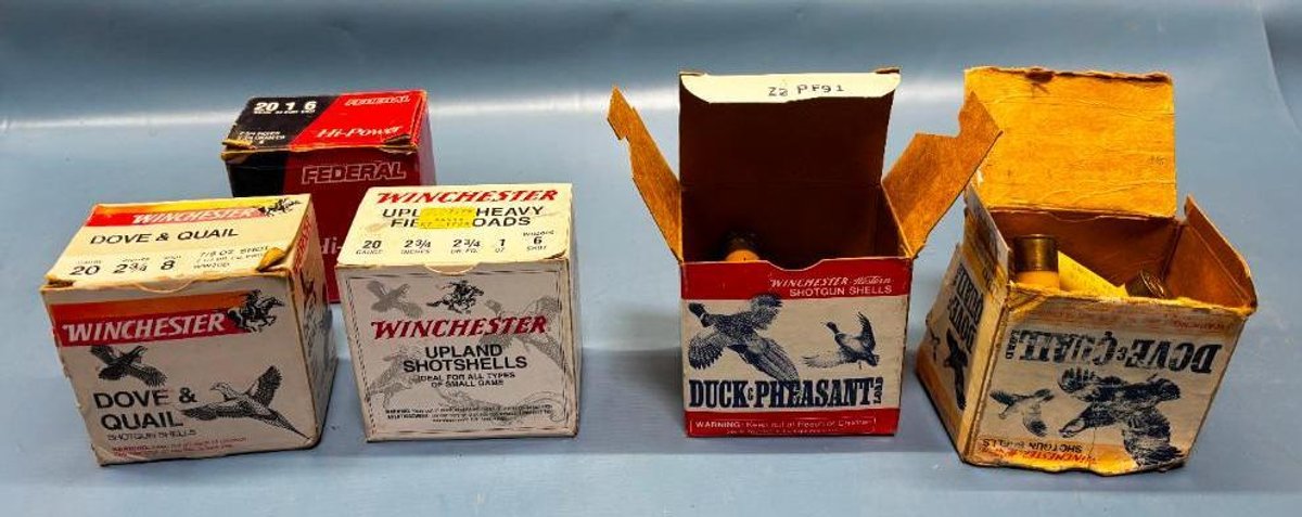 Assorted 20 Gauge 2 3/4" Shotgun Shells