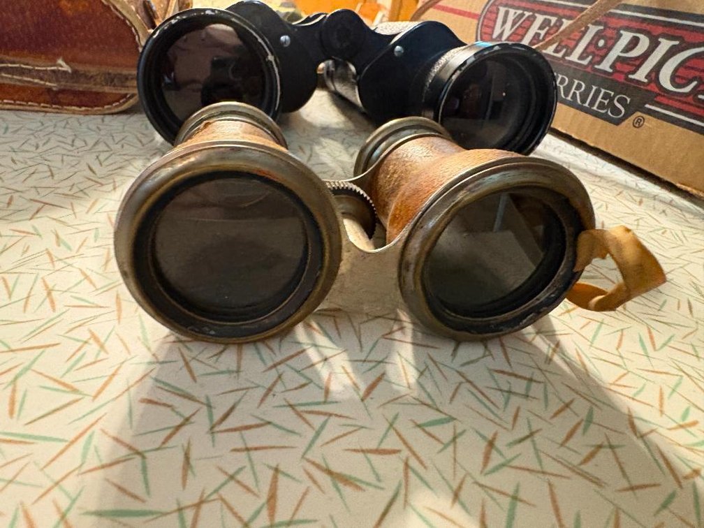 Pair of Binoculars, Antique and Modern