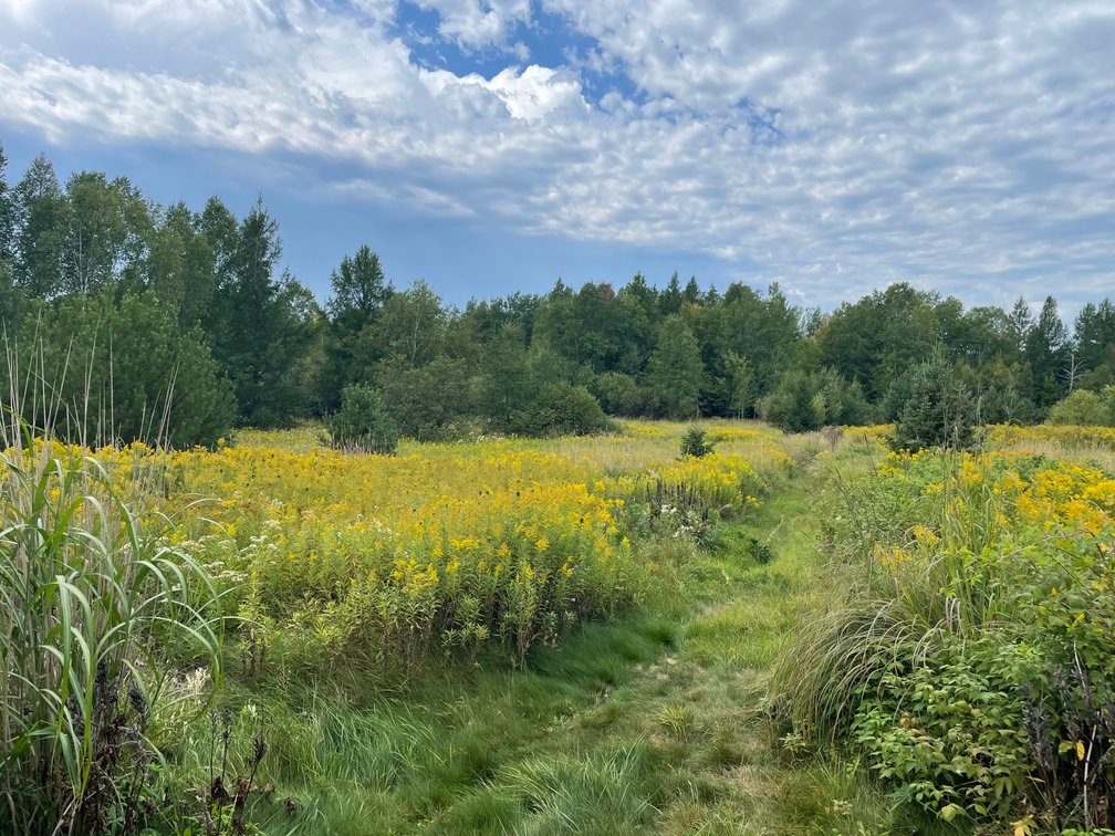 Image for Tom Gilbreath Estate