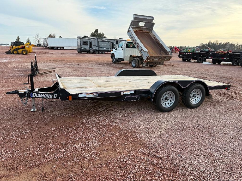 Lot 585