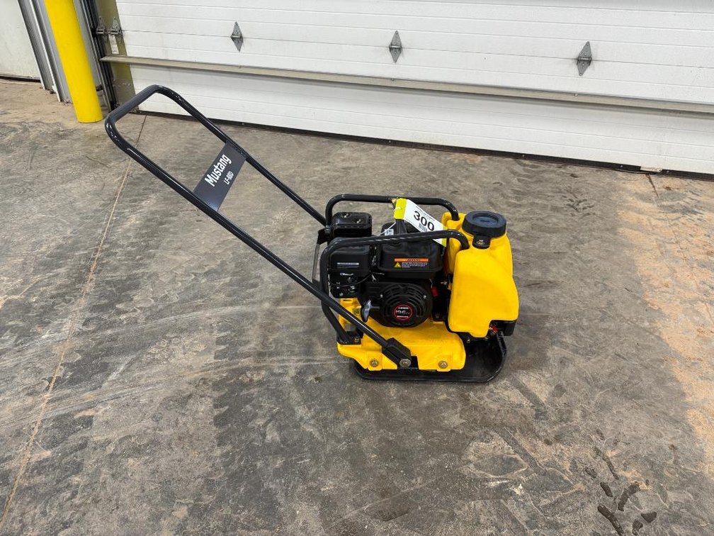 Lot 300