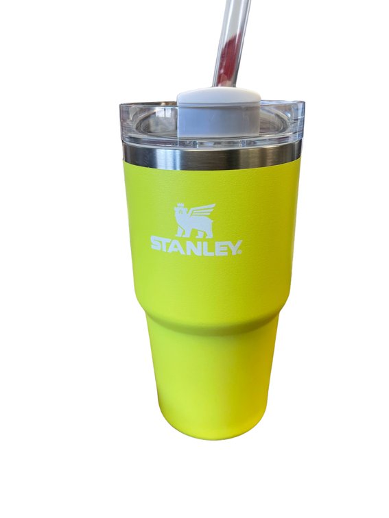 STANLEY 20oz Stainless Steel H2.0 Flowstate Quencher Tumbler