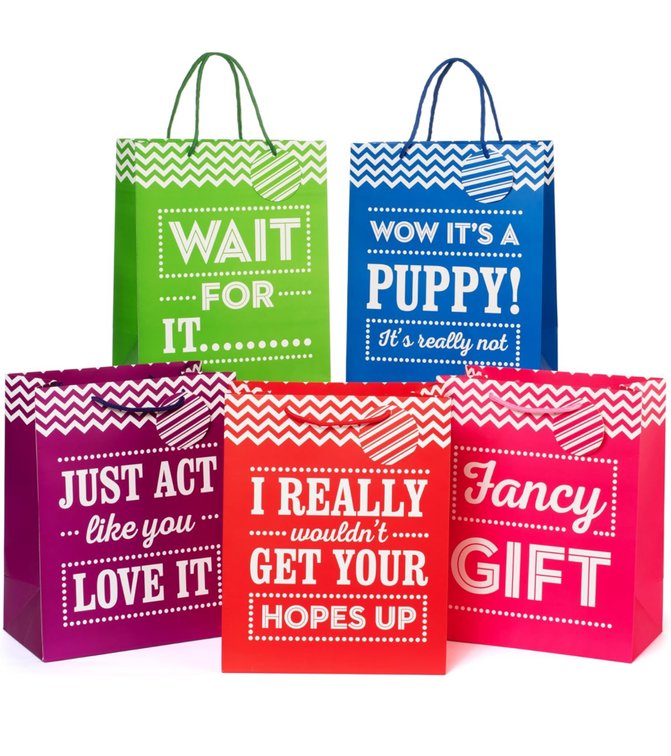 Set of 10- 13" Gift Bags 