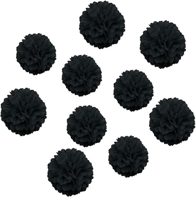 WHITE NOT BLACK 10pcs WHITE Paper Pom Poms 8' 10' Tissue Paper Flowers DIY Party Flowers