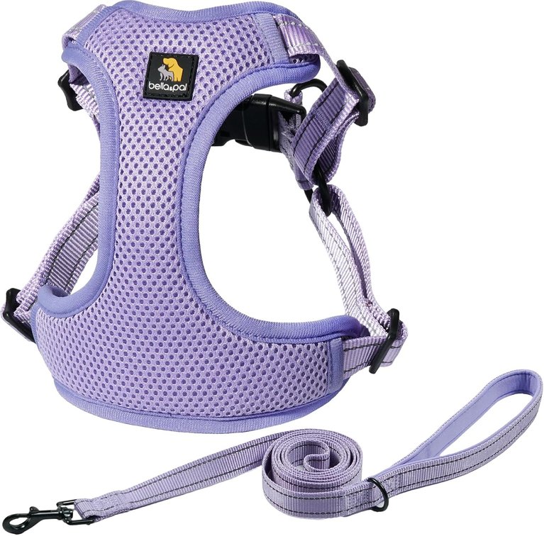 Size XL BELLA & PAL Adjustable Step-in Dog Harness, Puppy No-Pull Vest with Leash Set for XS/Small & Medium Dog, Breathable All-Weather Mesh, Reflective Strip, Secure Hook & Loop
