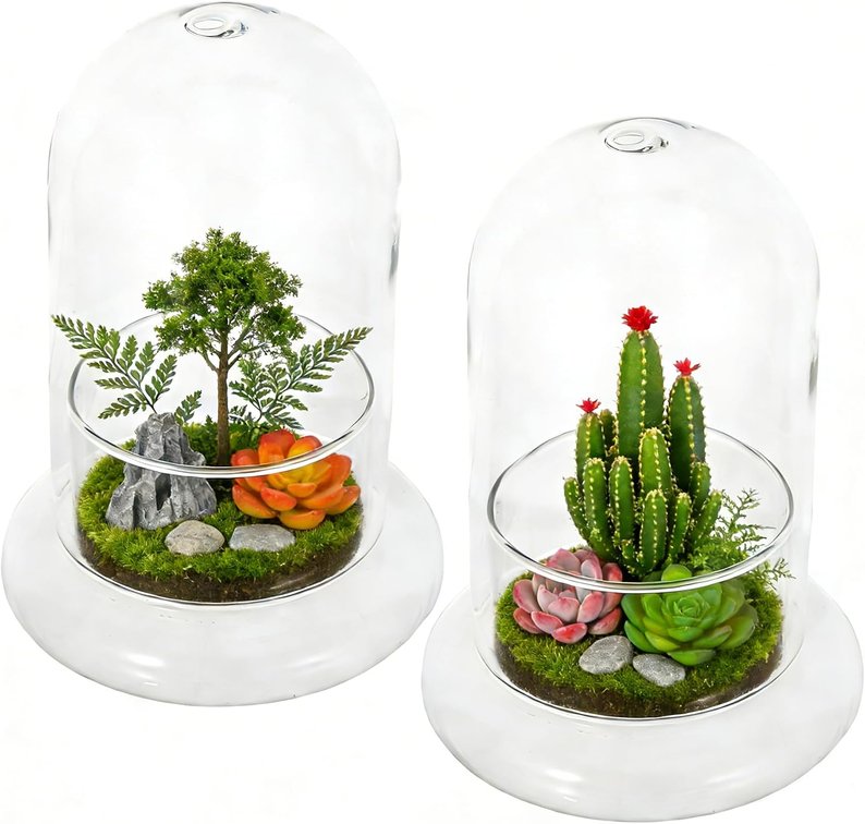 2pcs Cloche Glass Dome with Air Hole and Base, Clear Glass Terrarium Plants Bell Jar Humidity Dome for Smallplants, Home Indoor Tabletop Decoration (No Plants)